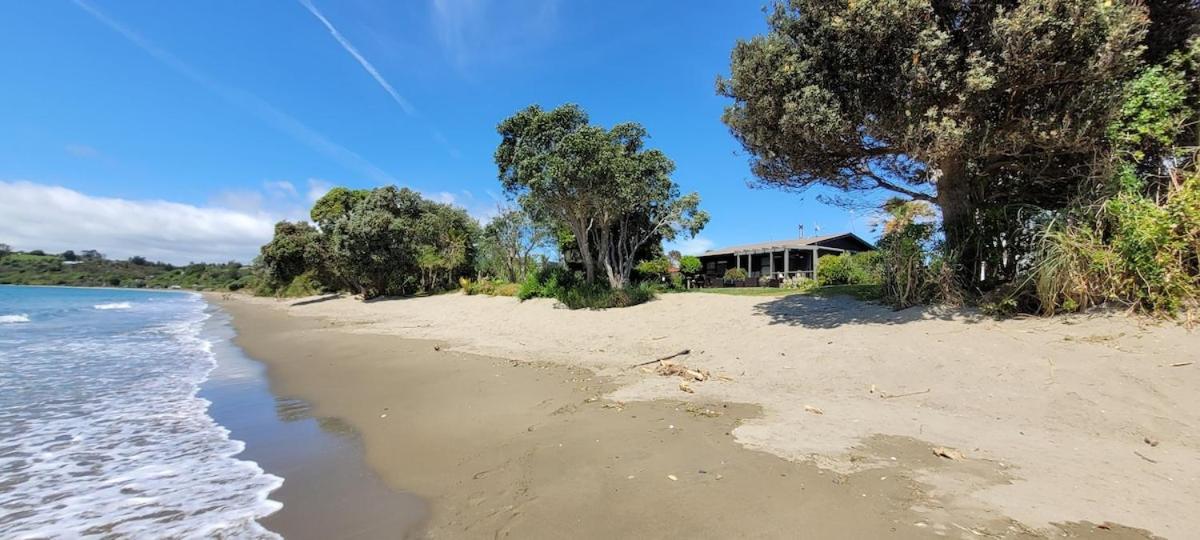 Beachfront Bliss - Your Parapara Seaside Retreat Exterior photo